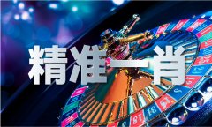 48733爱材料2009年全免费